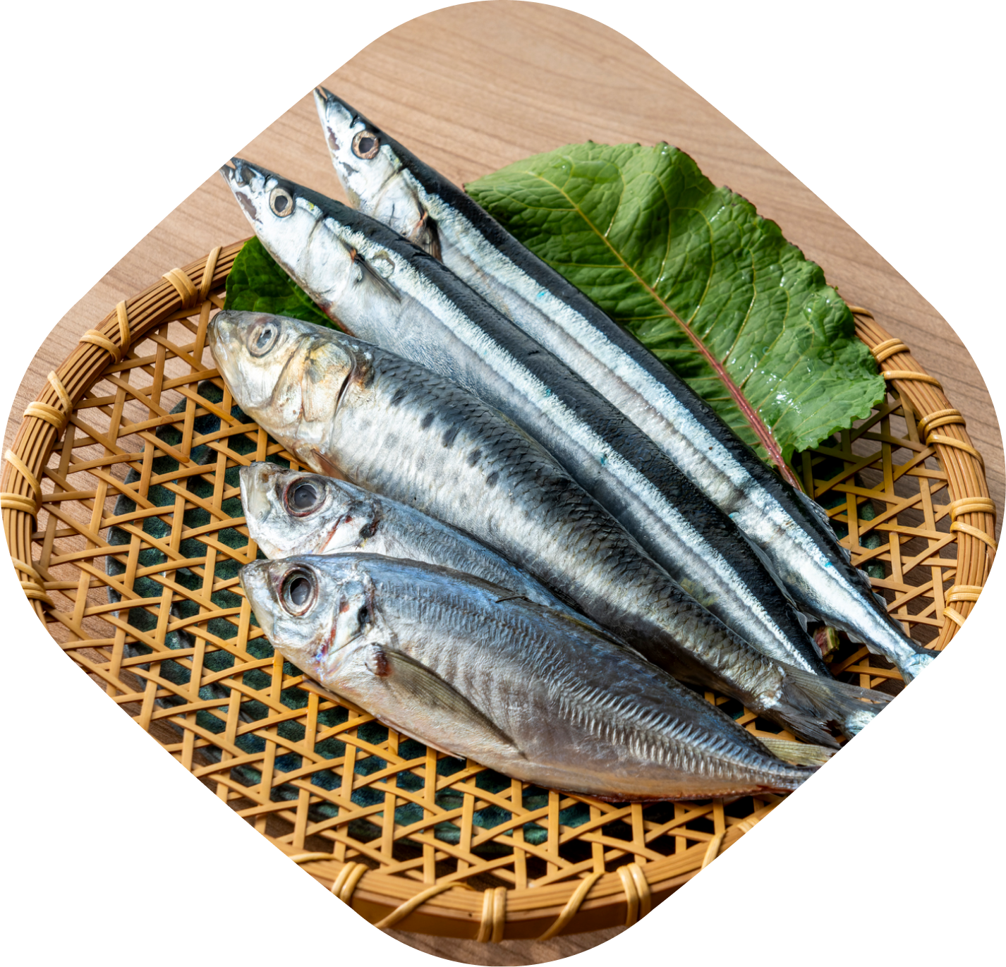 画像:青魚