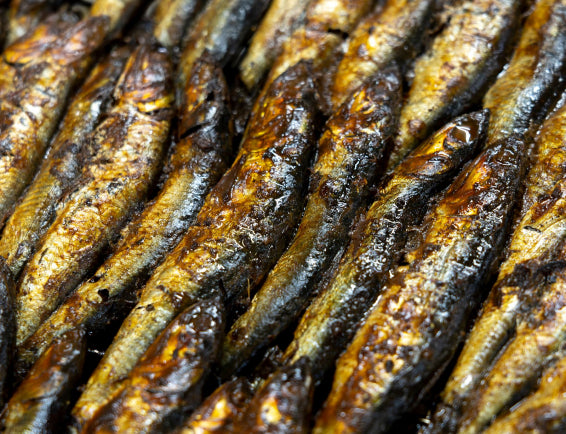 画像:魚の甘露煮